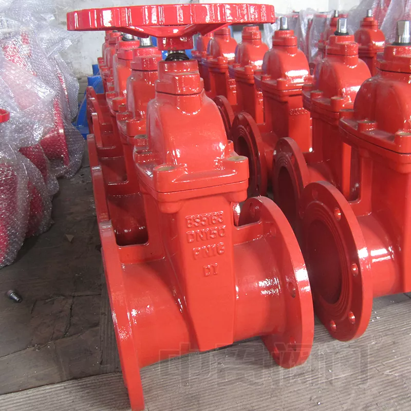 BS5163 Standard Resilient Sid Gate Valve