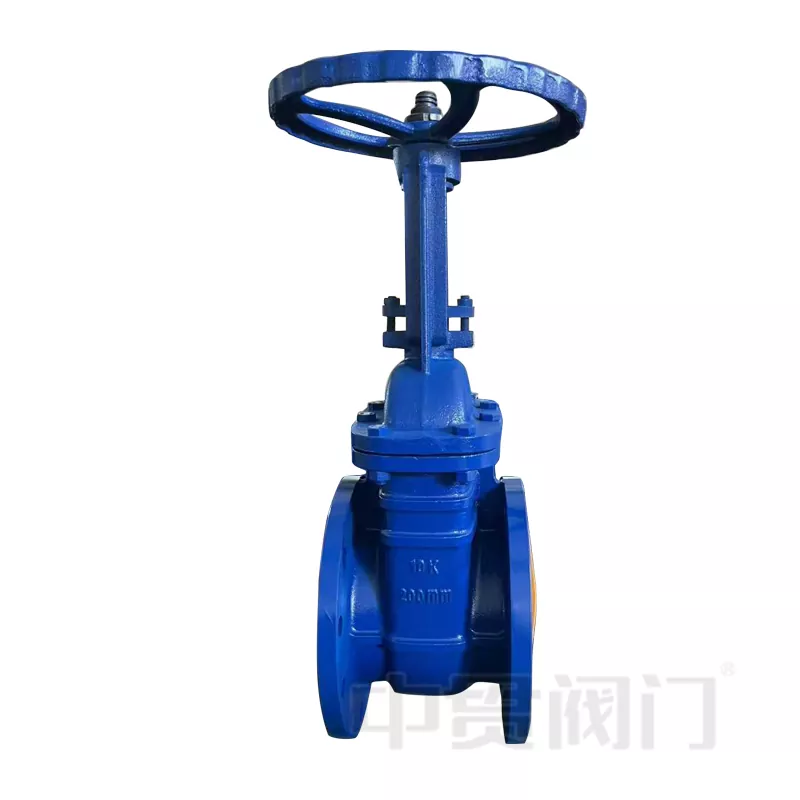 Stigende STEM -design Resilient Sid Gate Valve
